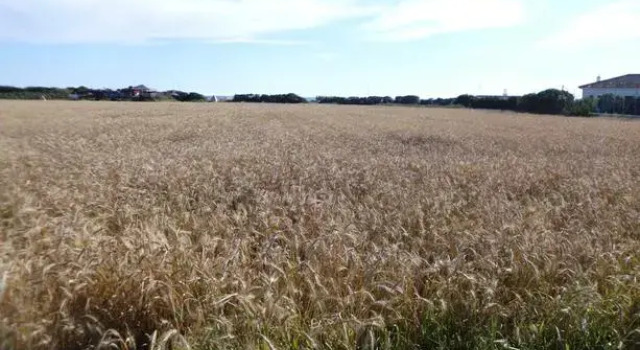 Alojamiento El Palmar
