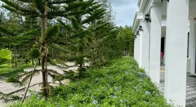 Tarn Villa Krabi, Забронировать Вилла Виллы Moo 2, Вилла