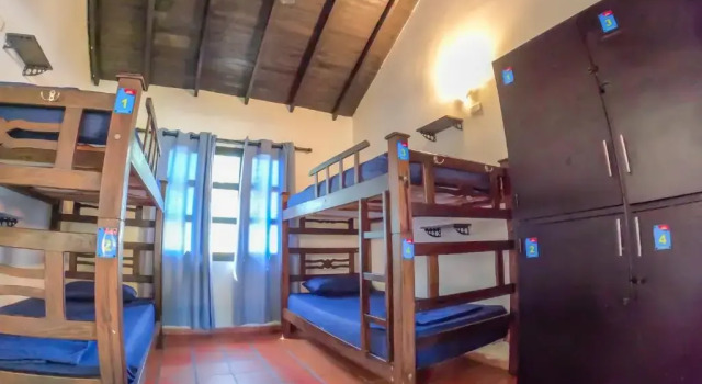 Letto in camerata The Dreamer Hostel