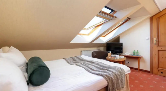 Двухместный номер Economy Villa Hoff Wellness & Spa
