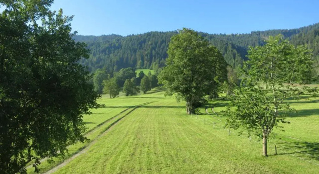 Ferienwohnungen Marchanger, Prenota Hotel Niederau Niederau