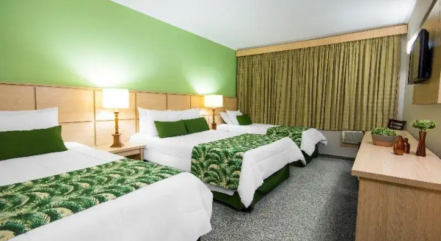 Двухместный номер Standard Thermas All Inclusive Resort Poços de Caldas By Nacional Inn