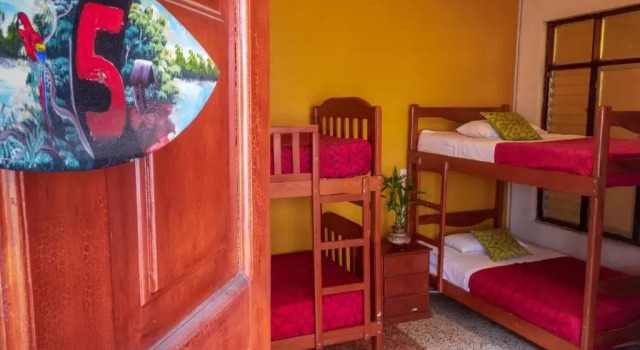 Кровать в общем номере Flying Dog Hostel Iquitos