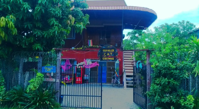 Traveller Cat Guesthouse