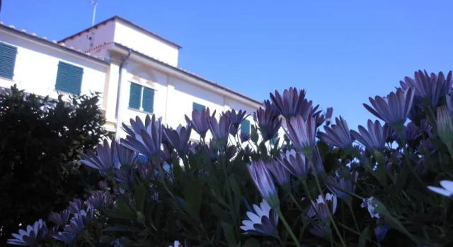 Il Lido