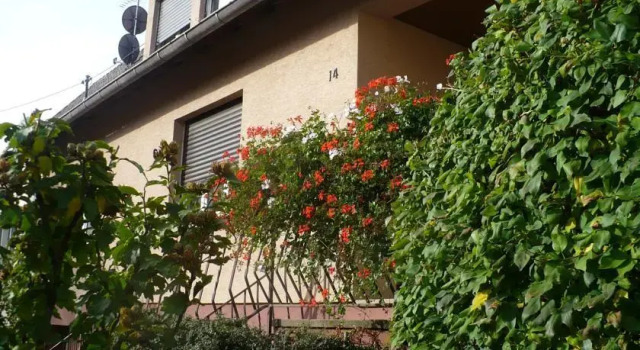 Gîte Les perles du Vignoble