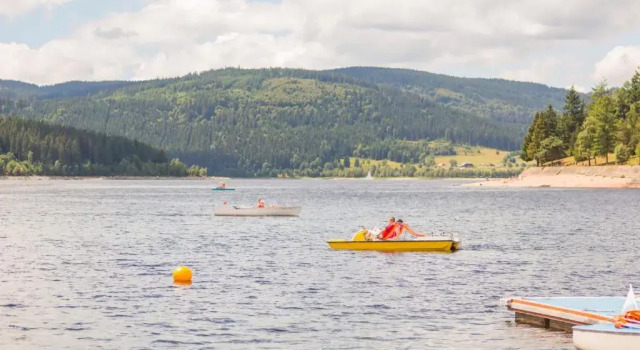 Апартаменты Fewo Blumbach Nr 4, Schluchsee, Feldberg