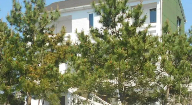 Люкс Seaview Apartment Kobuleti