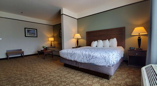 Двухместный номер Standard Best Western Plus Emory at Lake Fork Inn & Suites