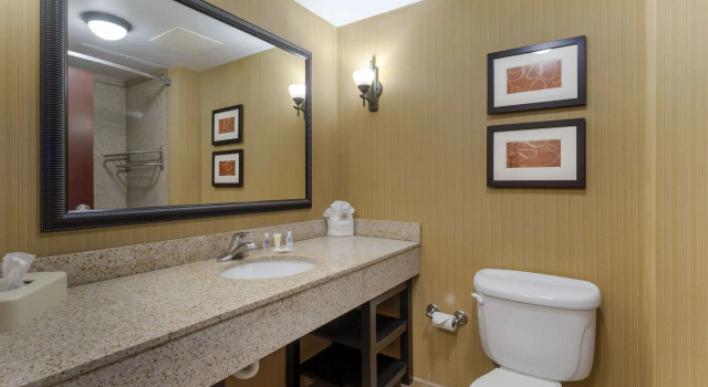 Четырёхместный люкс Comfort Suites Kodak Sevierville