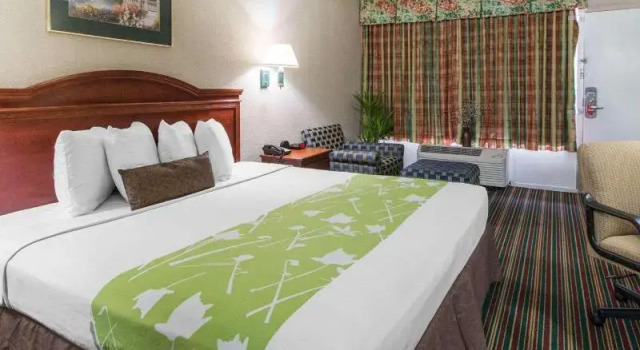 Номер Standard Econo Lodge Savannah Gateway I-95
