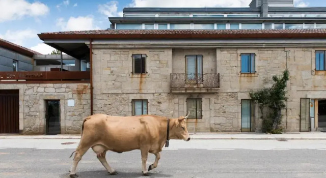 Vilavella Hotel & Spa, Book Resort  
