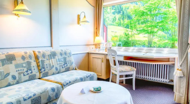 Номер Deluxe Ski- und Aktivhotel Almhof Rupp