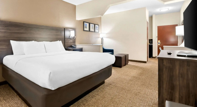 Двухместный люкс Comfort Suites near Robins Air Force Base