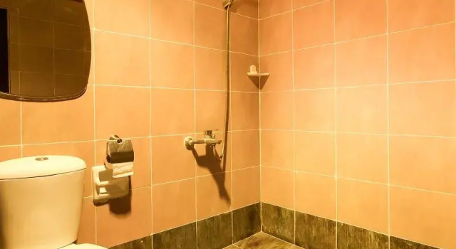 Двухместный номер Standard Cebu Hilltop Hotel