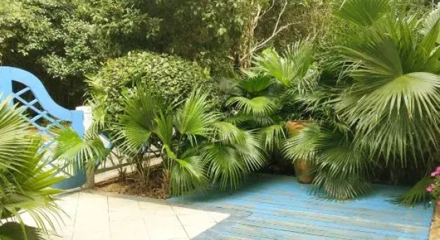 Xinyu Color Village Leisure Homestay, Varaa Hotelli Xinyu Jiangxi