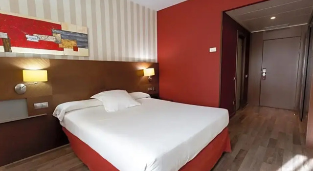 Номер Economy Sercotel Las Artes Pinto