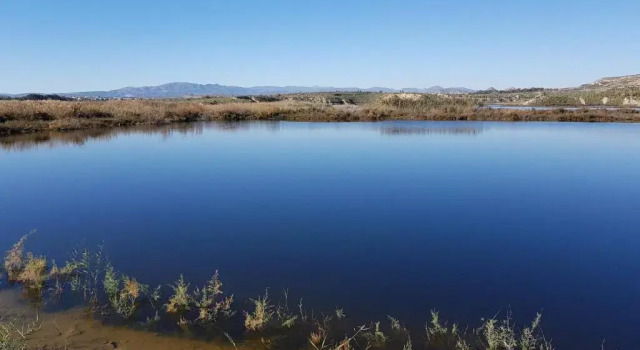 Студия Vera Rental Torremar Natura