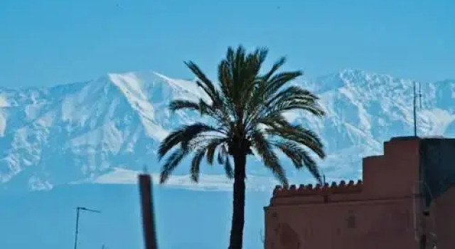 Riad Rocana