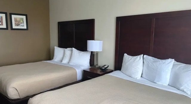 Четырёхместный номер Standard Lotus BLU Inn & Suites