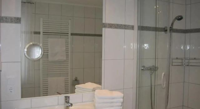 Двухместный номер Standard Hotel Lindenhof