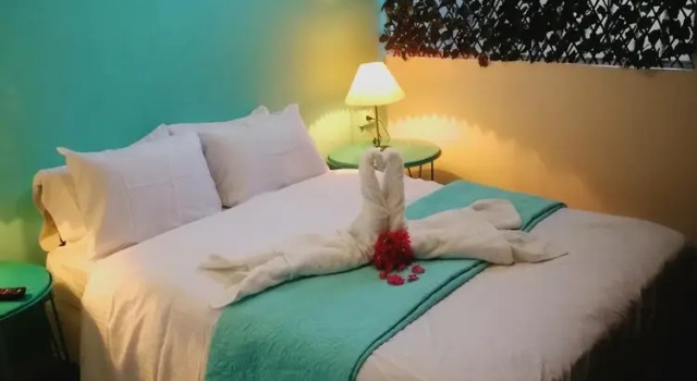 Номер Comfort Nativus Art Hostel