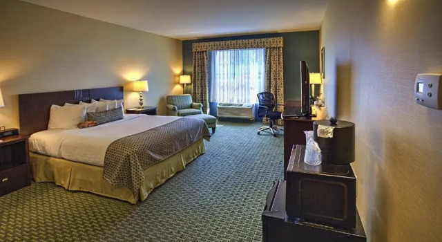 Двухместный номер Executive The Hotel Warner