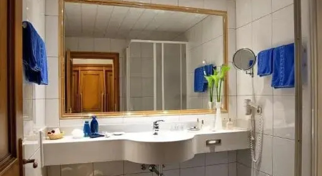 Номер Comfort Hotel Alpina Wellness & Spa Resort