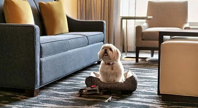 Двухместный люкс with Boardroom c 1 комнатой Homewood Suites by Hilton-Seattle Convention Center-Pike Street