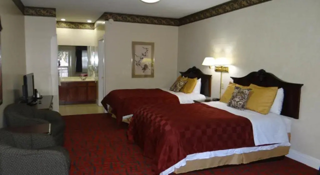 Номер Deluxe Edelweiss Ski Lodge