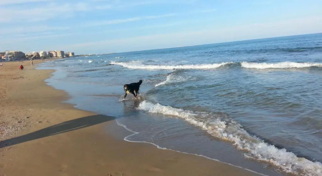 La Mata & Sea