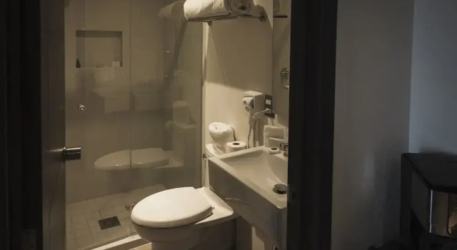 Номер Deluxe Hotel Platino Expo Guadalajara