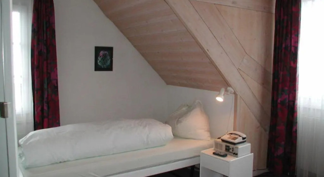 Одноместный номер Seminarhotel Linde Stettlen