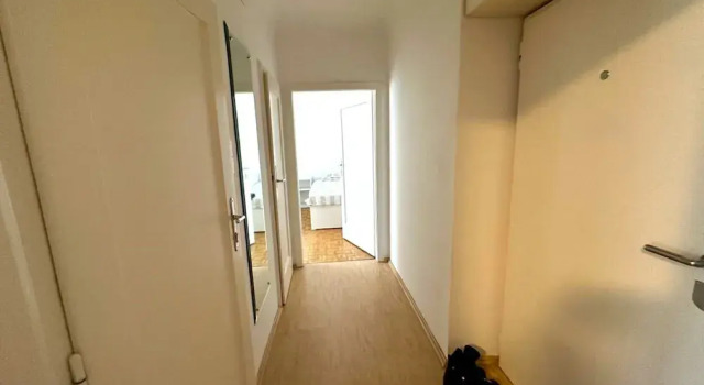 Апартаменты Apartment Near Schonbrunn Palace Vienna