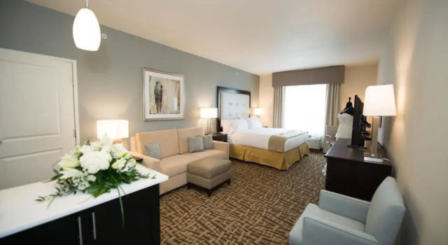Люкс Holiday Inn Express & Suites Denver South - Castle Rock by IHG