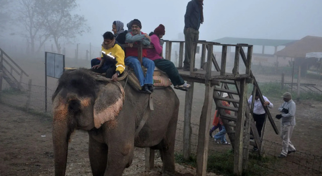Chitwan Safari Resort, Забронировать Отель Читван провинция Багмати-Прадеш