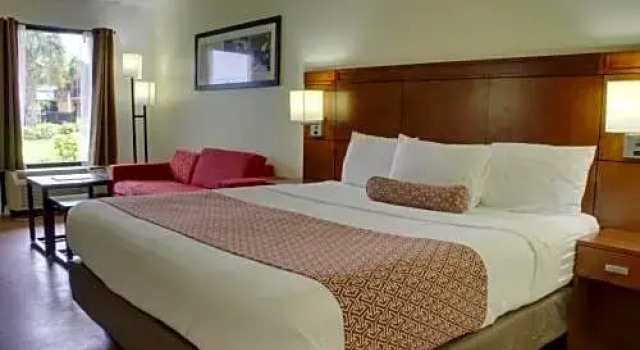 Номер Standard Winter Haven Suites & Conference Center