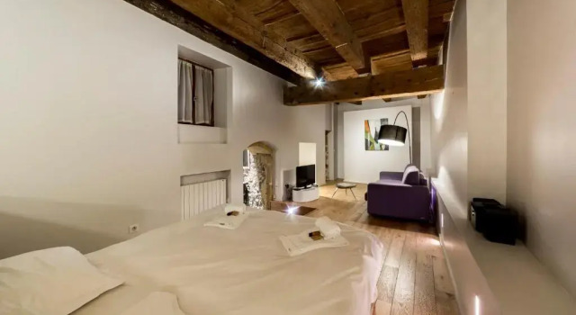 La Suite Miroirs - 46sq m flat in the heart of Vieux Lyon
