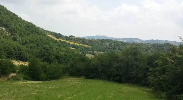 Villa Rosa, Rezervovat Vila  