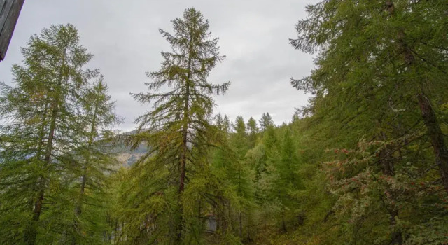 Agence des Orres - Les Ecrins - Studio - ECR412