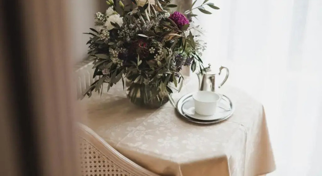 Одноместный номер Standard Hotel Adria