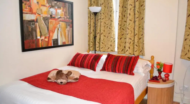 Двухместный номер City London Hotel