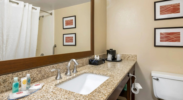 Двухместный люкс Comfort Inn MSP Airport - Mall of America