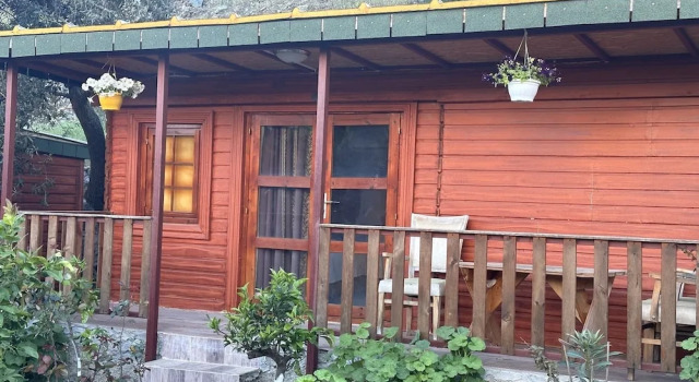 Бунгало Felicity Hotel & Bungalows