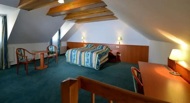 Семейный номер Standard Дуплекс c 1 комнатой с балконом Hotel Dvorak