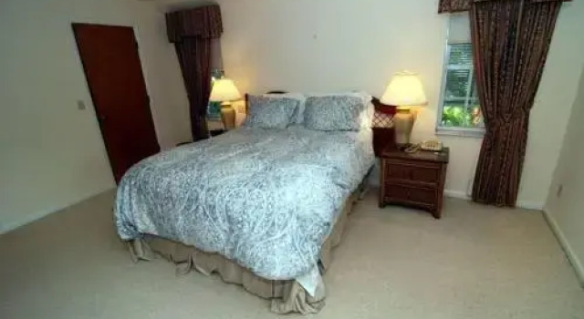 Albatross Home