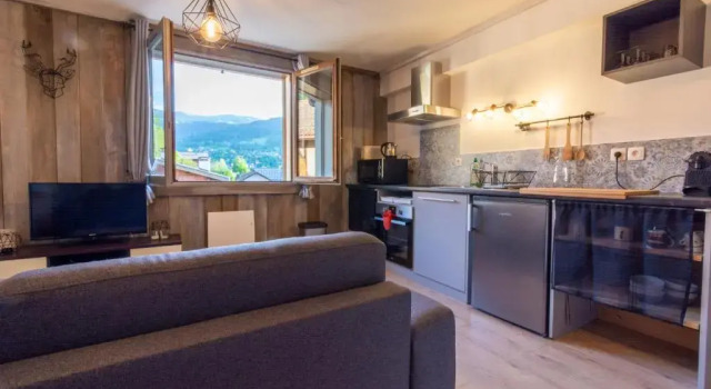 Студия с видом на горы Appartements vue Mont-Joly à 2 pas Tramway Mont-Blanc - 1 et 2 pièces