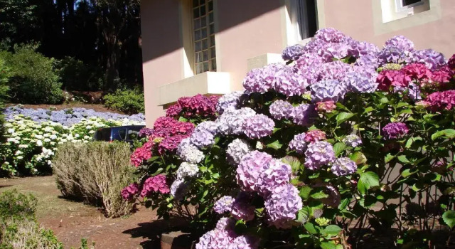 Casa da Lena, Prenota Hotel Santa Cruz Arcipelago di Madeira