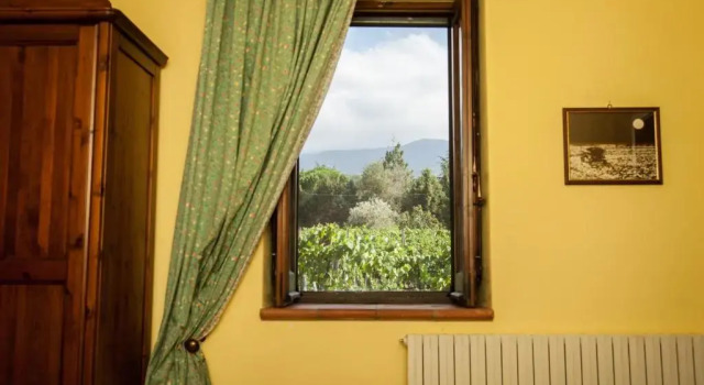 Двухместный номер Superior Agriturismo LAntica Vigna