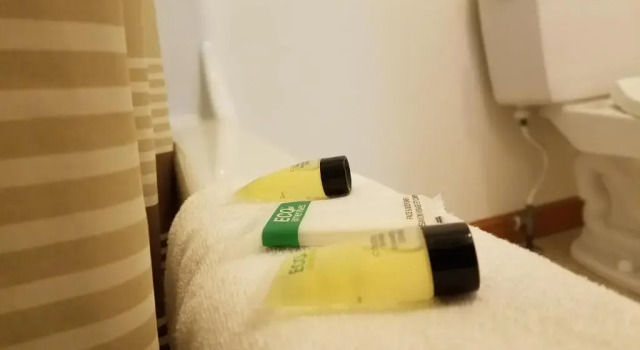 Номер Standard Village Inn Motel